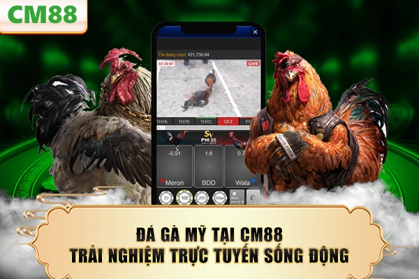 Đá Gà Mỹ Tại CM88 – Trải Nghiệm Trực Tuyến Sống Động 