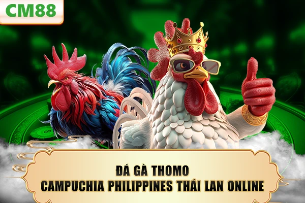 Đá gà Thomo Campuchia Philippines Thái Lan online