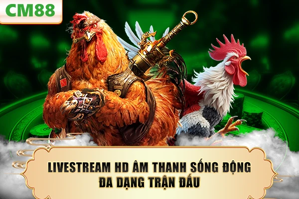 Livestream HD âm thanh sống động đa dạng trận đấu