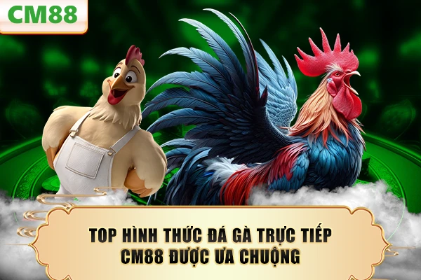 Top hình thức đá gà trực tiếp CM88 được ưa chuộng