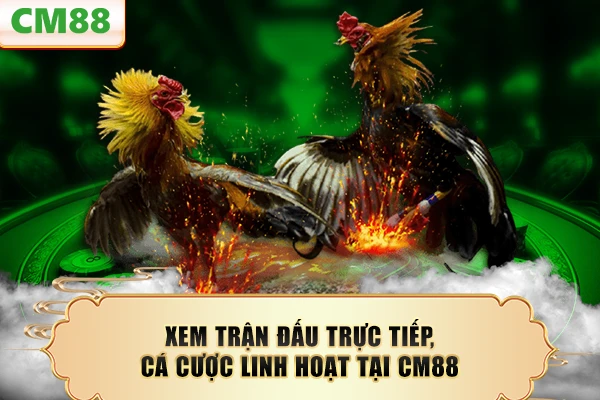 Xem trận đấu trực tiếp, cá cược linh hoạt tại CM88